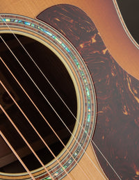 Taylor Gold Label 814E Sunburst Honduran Rosewood