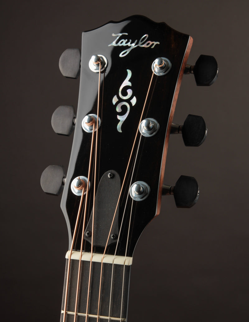 Taylor 817E Gold Label Honduran Rosewood Sunburst