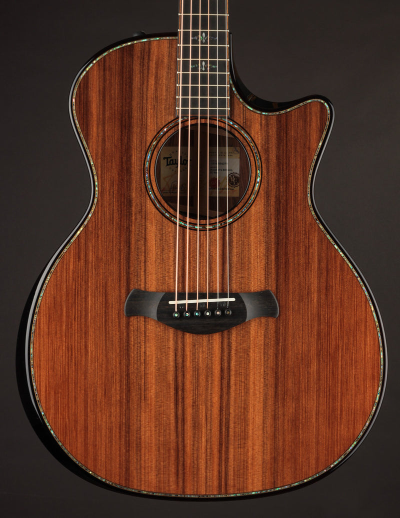 Taylor 914CE Builder&