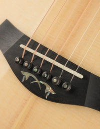 Taylor 914CE Legacy