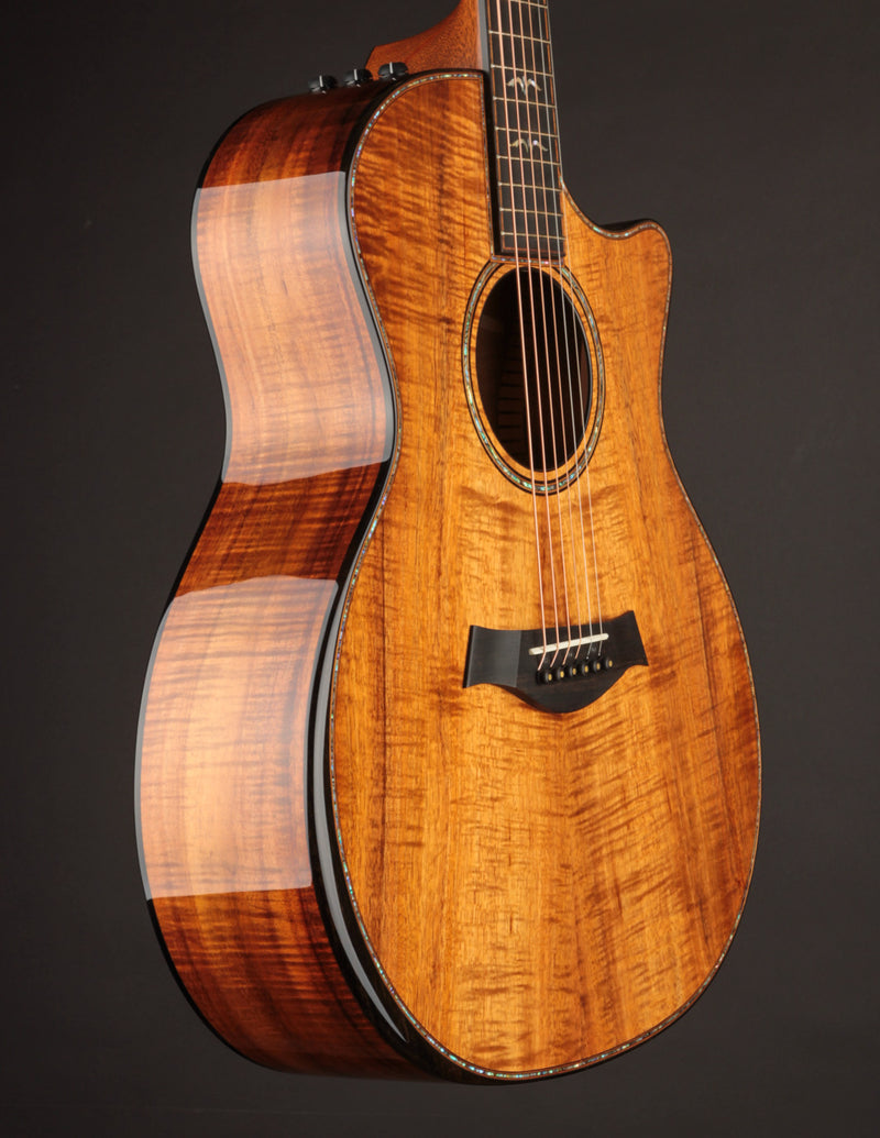 Taylor 924CE 50th Anniversary Koa LTD & Circa 74 Amp