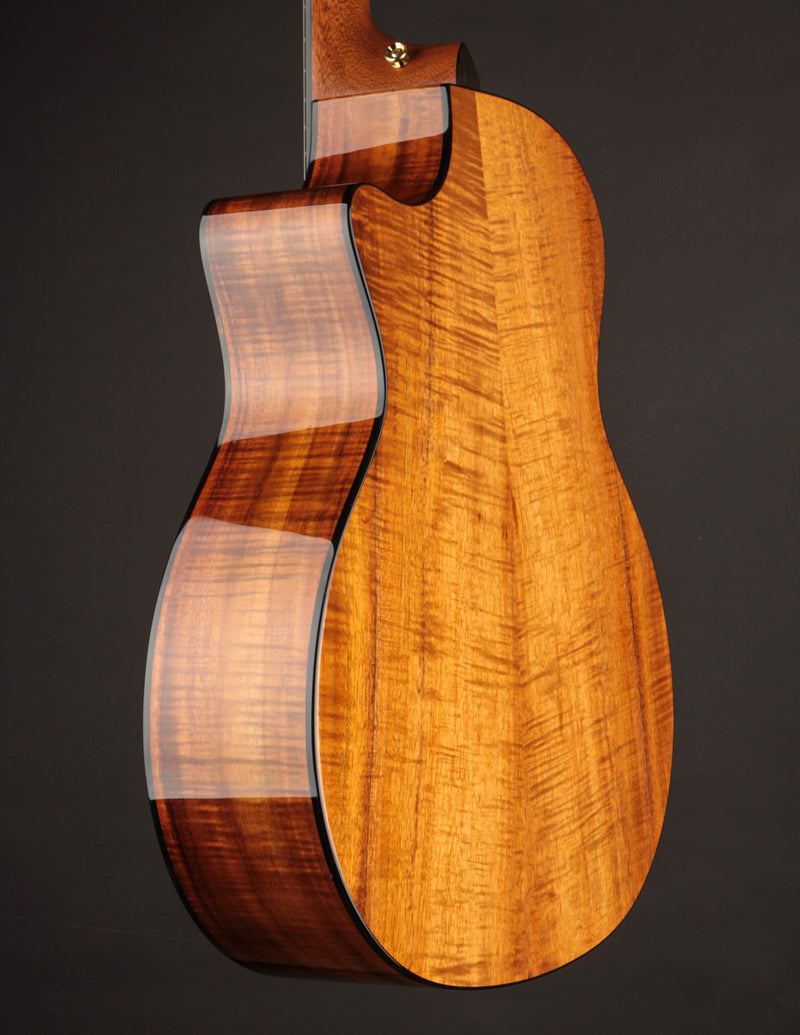 Taylor 924CE 50th Anniversary Koa LTD & Circa 74 Amp