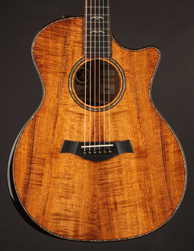 Taylor 924CE 50th Anniversary Koa LTD & Circa 74 Amp