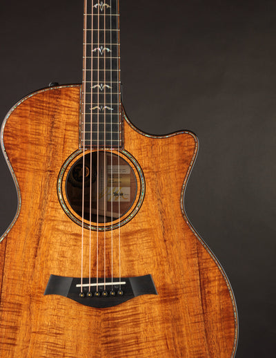 Taylor 924CE 50th Anniversary Koa LTD & Circa 74 Amp