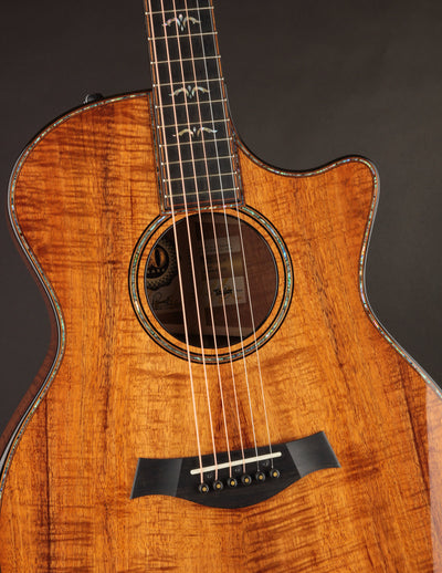 Taylor 924CE 50th Anniversary Koa LTD & Circa 74 Amp