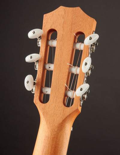 Taylor Academy 12e Nylon