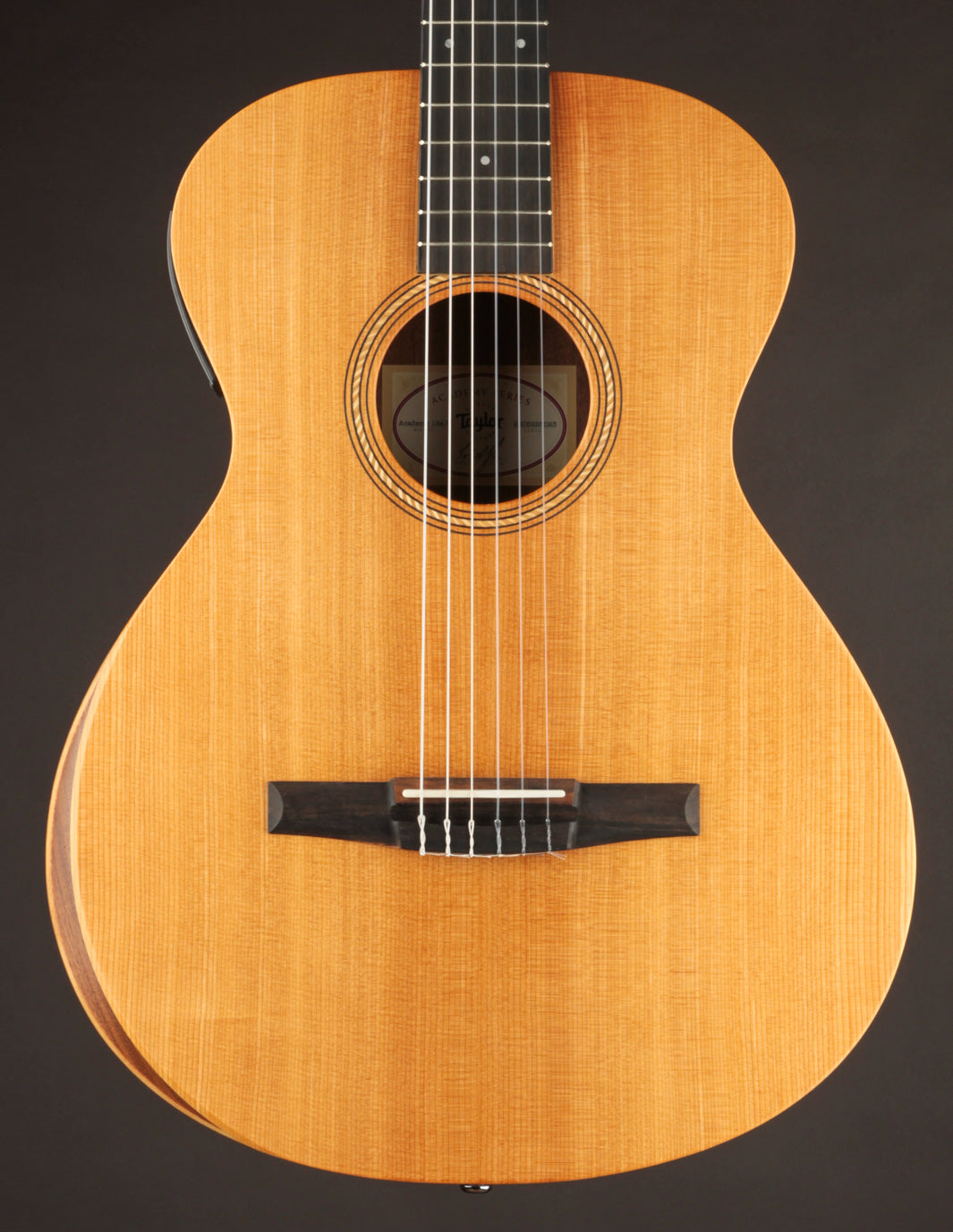 Taylor Academy 12e Nylon