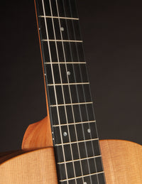 Taylor Academy 12e Nylon
