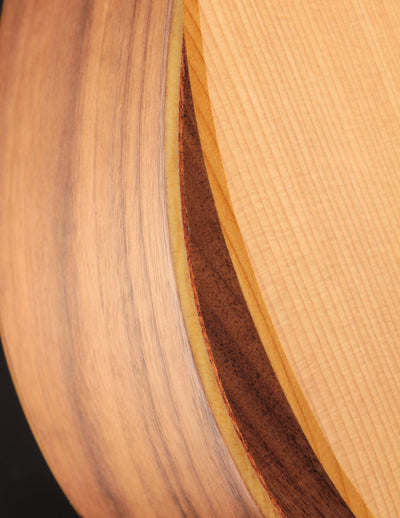 Taylor Academy 12e Nylon