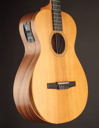 Taylor Academy 12e Nylon