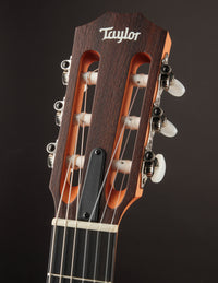 Taylor Academy 12e Nylon