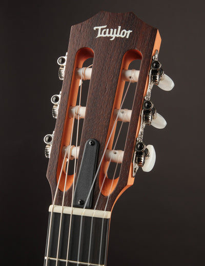 Taylor Academy 12e Nylon
