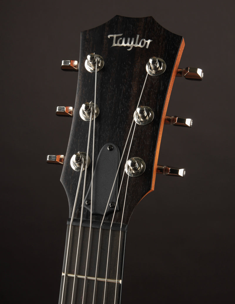 Taylor Crosstone Sunburst Electric Prototype (Demo)