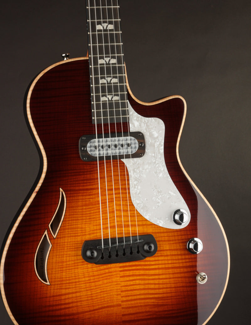 Taylor Crosstone Sunburst Electric Prototype (Demo)