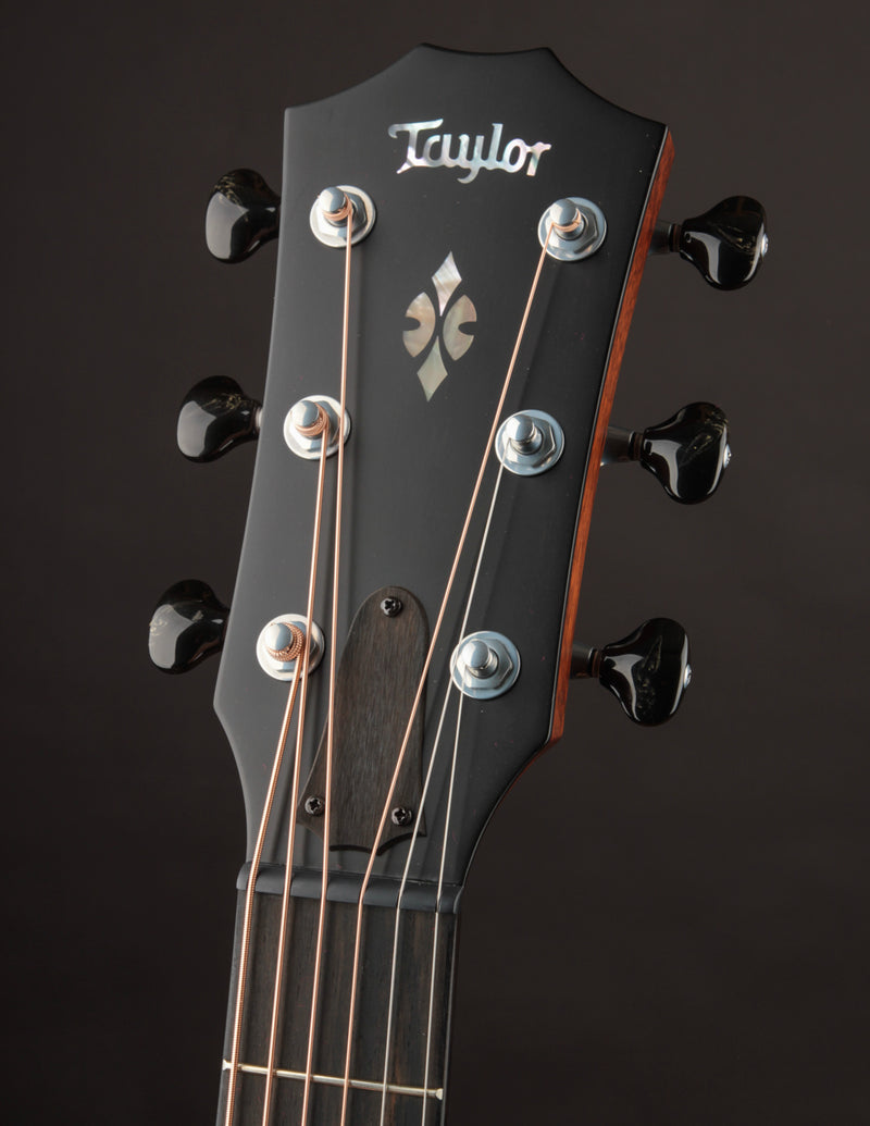 Taylor Custom Grand Concert Charcoal Black Top 12-Fret LTD