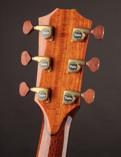 Taylor Custom #19 GA Rosewood & Lutz Spruce