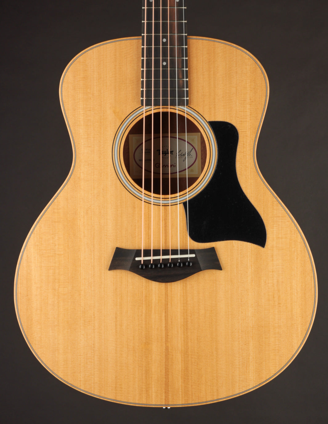 Taylor GS Mini Sapele