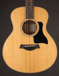 Taylor GS Mini Sapele