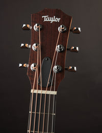 Taylor GS Mini Sapele