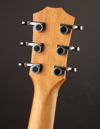 Taylor GS Mini Sapele