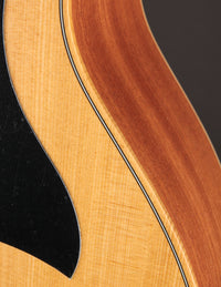 Taylor GS Mini Sapele