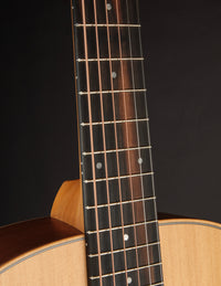 Taylor GS Mini Sapele