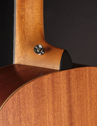 Taylor GS Mini Sapele