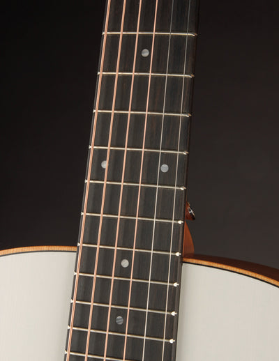 Taylor GS Mini-e Special Edition Trans White