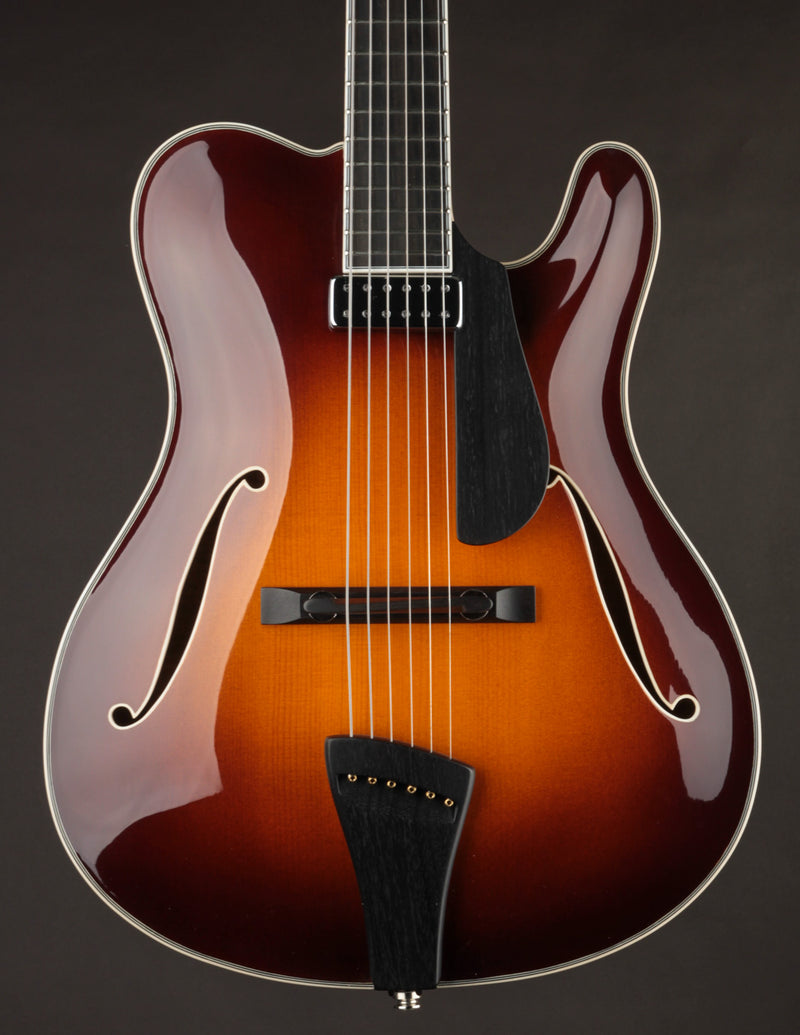 Tim Bram Tribute Archtop 