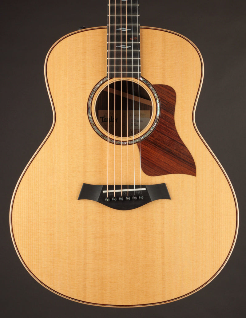 Taylor GT 811e (USED, 2022)