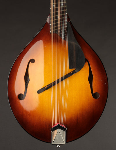 Girouard 10-string, Fan Fret Ensemble Mandola (USED, 2016)