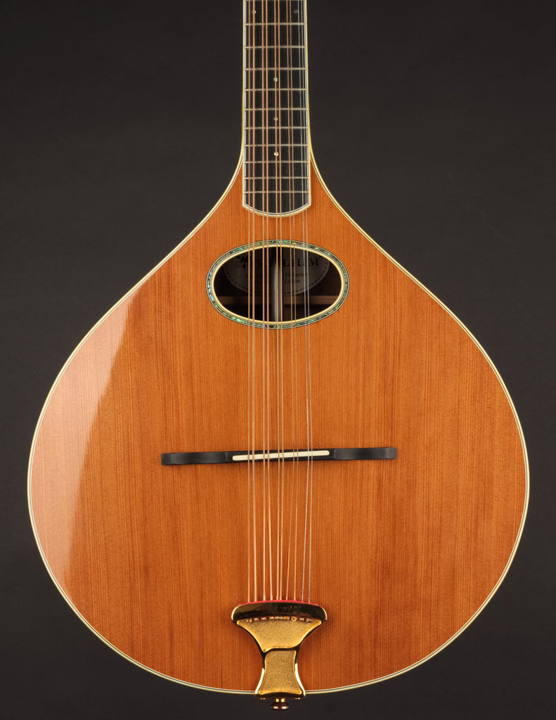 Cittern for store sale