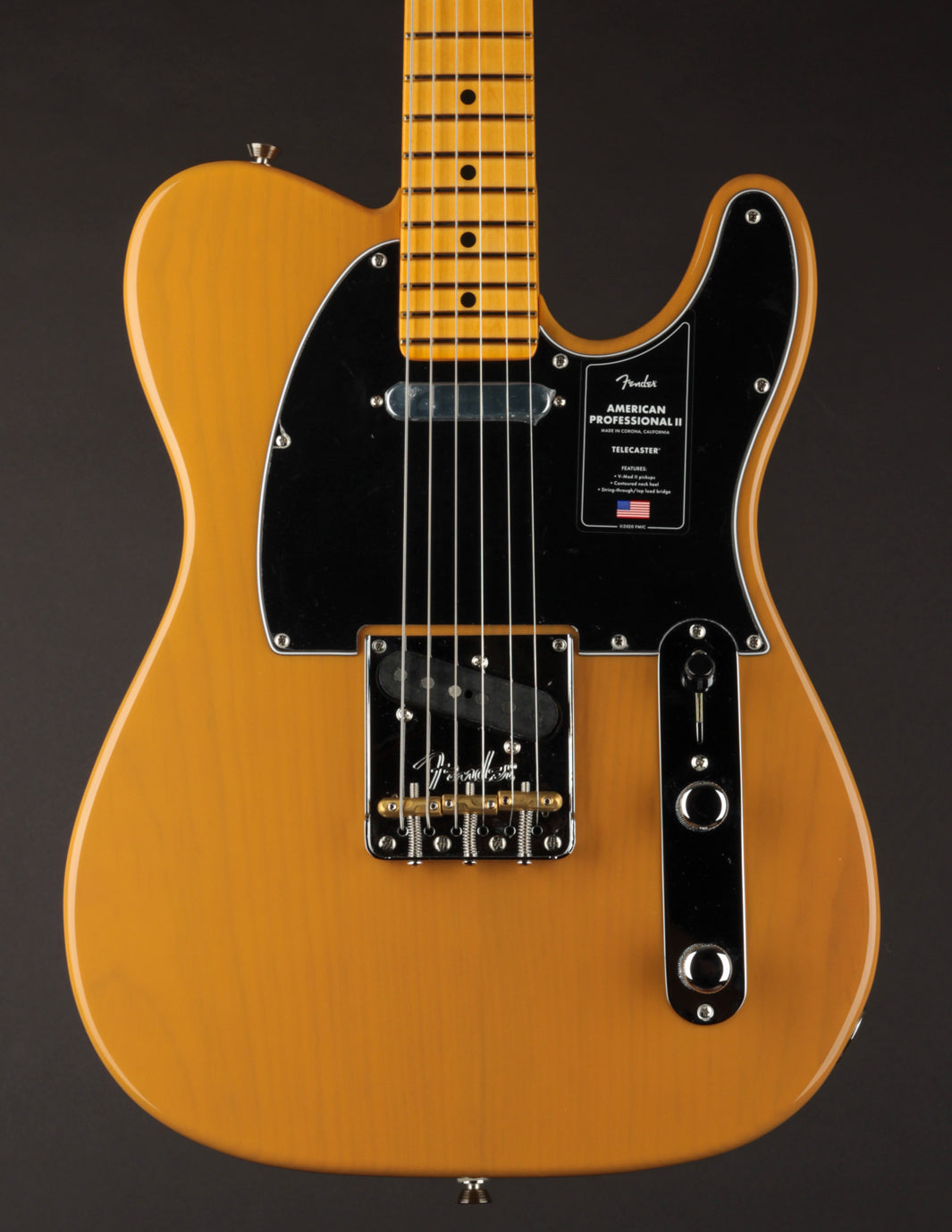 Fender American Professional II Telecaster | The Music Emporium