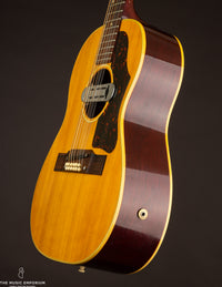 Gibson B-25-12 (USED, 1963)