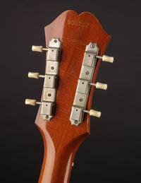 Epiphone FT79N Texan (USED, 1966)
