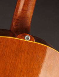 Gibson J-50 (USED, 1959)