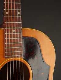 Gibson J-50 (USED, 1959)