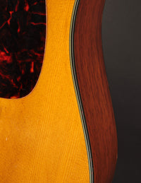 Martin D-21 (USED, 1963)