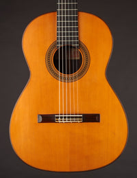 Del Pilar Brazilian (1963)