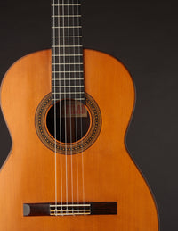 Del Pilar Brazilian (1963)