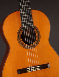 Del Pilar Brazilian (1963)