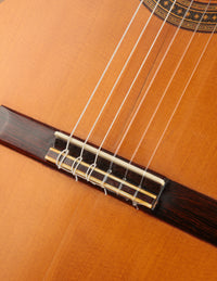 Del Pilar Brazilian (1963)