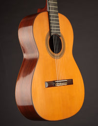 Del Pilar Brazilian (1963)