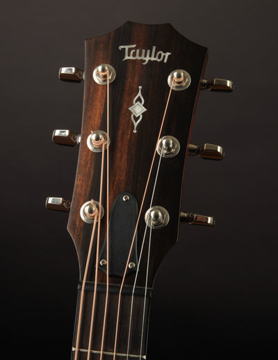 Taylor 317e (USED, 2019)