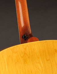 Gibson TG-50 Natural w/Calton (USED, 1963)