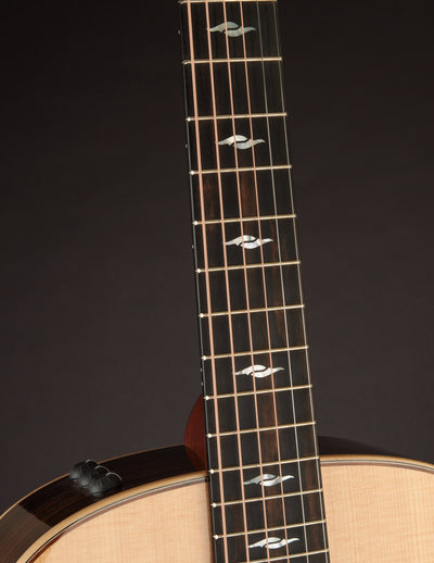 Taylor GT 811e (USED, 2021)