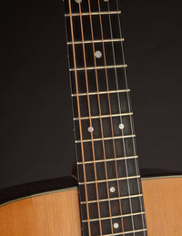 Martin D-21 (1961)