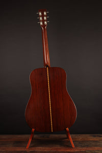 Martin D-21 (1961)