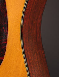 Martin D-21 (1961)