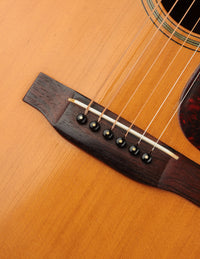 Martin D-21 (1961)